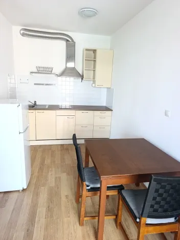 Pronájem bytu 1+kk, Praha, Freiwaldova, 37 m2