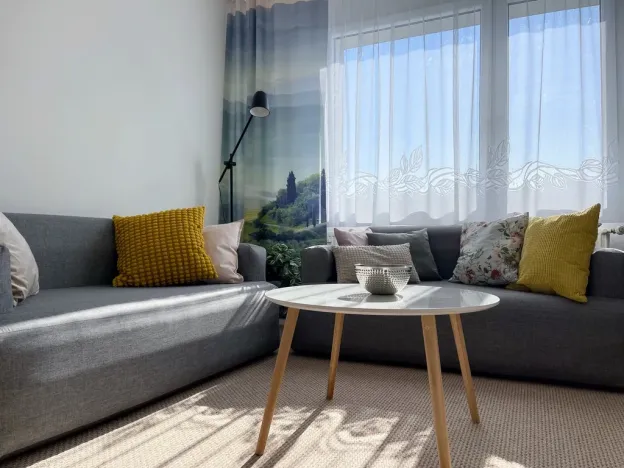 Pronájem bytu 2+1, Plzeň, Toužimská, 46 m2