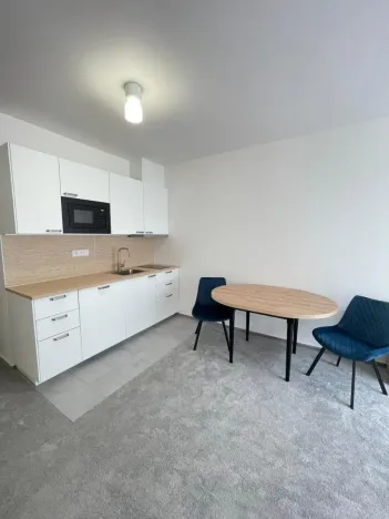 Pronájem bytu 1+kk, Praha - Vysočany, Gerstelova, 34 m2