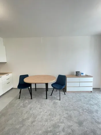 Pronájem bytu 1+kk, Praha - Vysočany, Gerstelova, 34 m2
