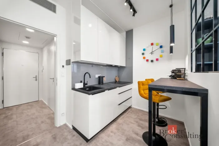 Pronájem bytu 1+kk, Praha - Žižkov, Tetauerova, 29 m2