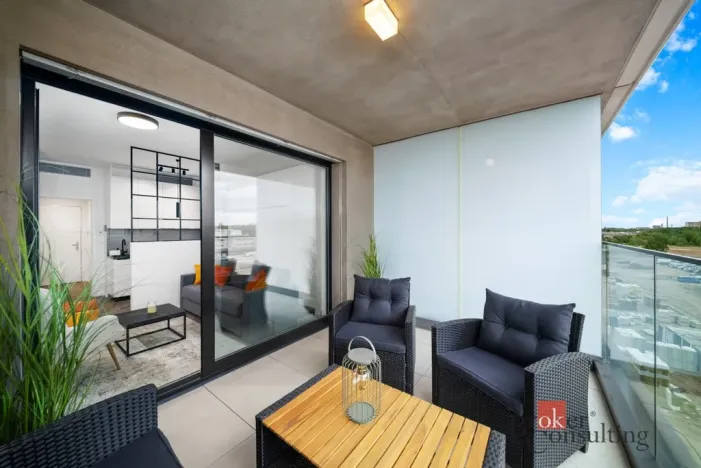 Pronájem bytu 1+kk, Praha - Žižkov, Tetauerova, 29 m2