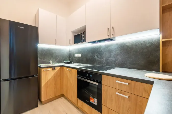 Pronájem bytu 1+kk, Ústí nad Labem - Střekov, Žukovova, 41 m2