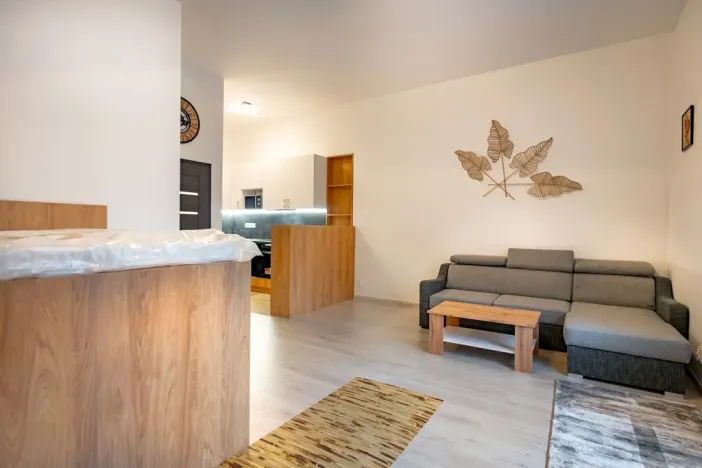 Pronájem bytu 1+kk, Ústí nad Labem - Střekov, Žukovova, 41 m2