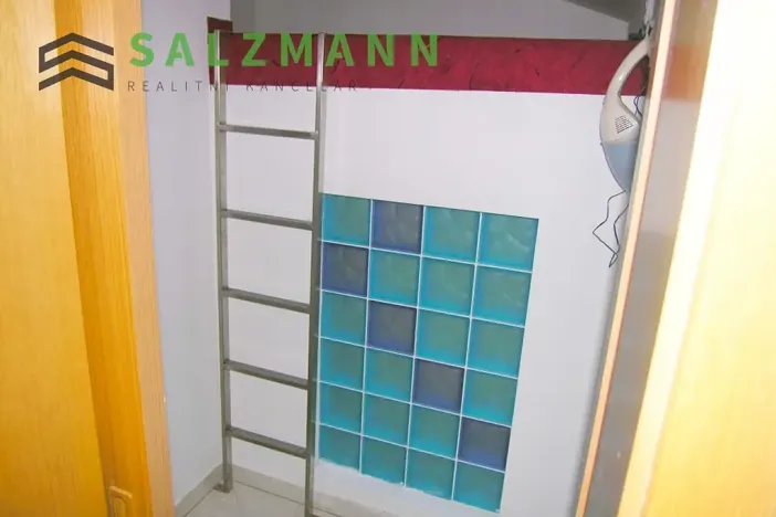 Pronájem bytu 2+kk, Plzeň, Rokycanská, 60 m2