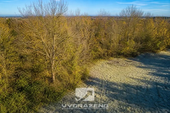 Prodej pozemku pro bydlení, Český Dub, 3139 m2