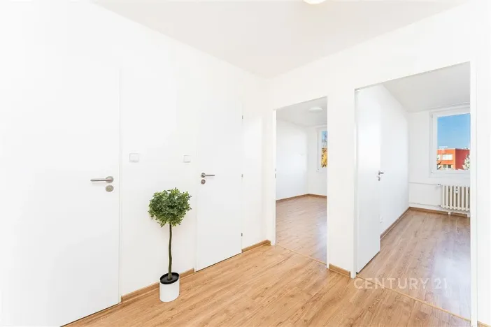 Prodej bytu 3+kk, Praha, Vašátkova, 75 m2