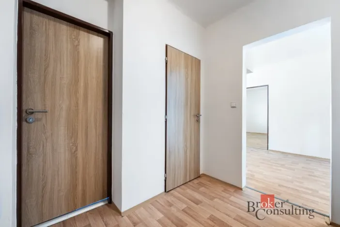 Prodej bytu 1+1, Ostrava - Přívoz, Palackého, 45 m2