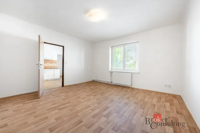 Prodej bytu 1+1, Ostrava - Přívoz, Palackého, 45 m2