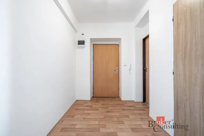 Prodej bytu 1+1, Ostrava - Přívoz, Palackého, 45 m2