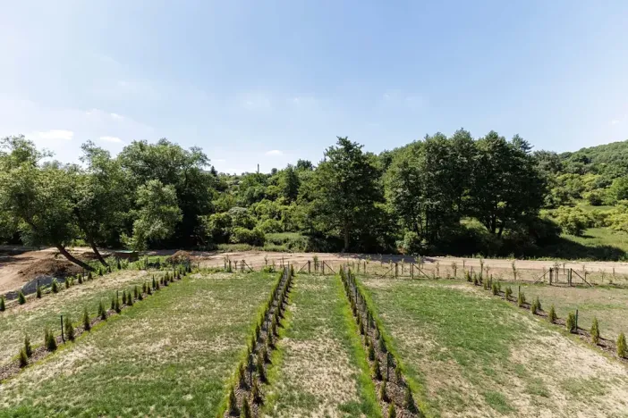 Pronájem bytu 1+kk, Slaný, Lázeňská, 33 m2