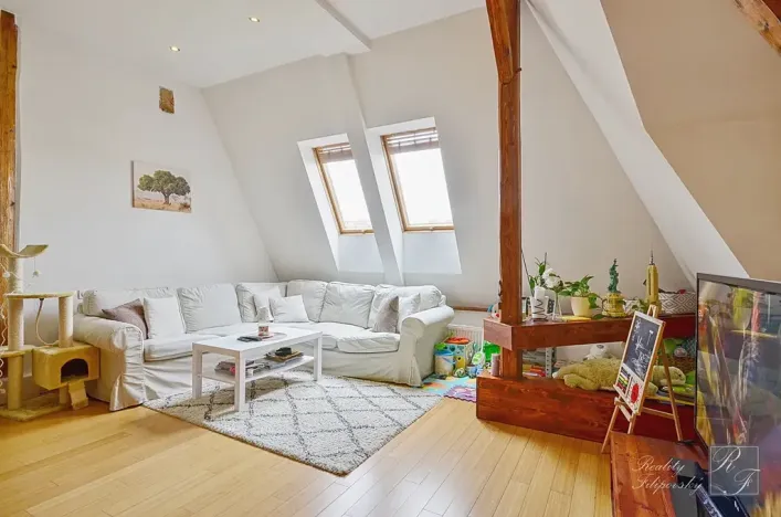 Prodej bytu 2+1, Ústí nad Labem, U Nemocnice, 90 m2