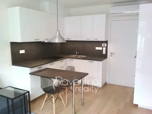 Pronájem bytu 1+kk, Brno, Studentská, 25 m2