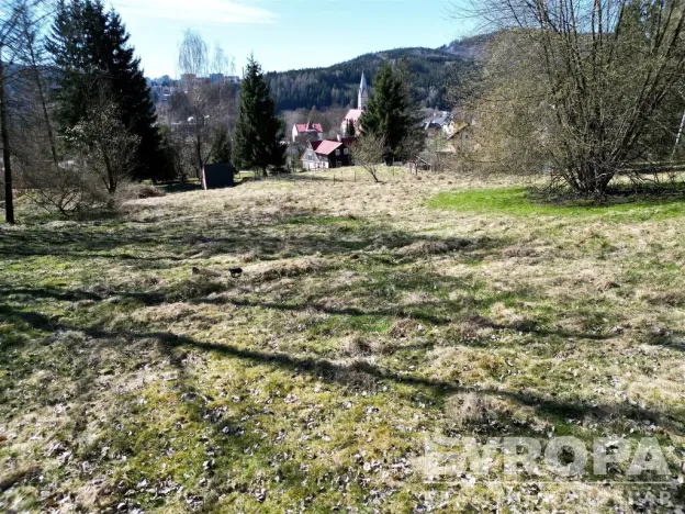 Prodej pozemku pro bydlení, Tanvald, 7881 m2