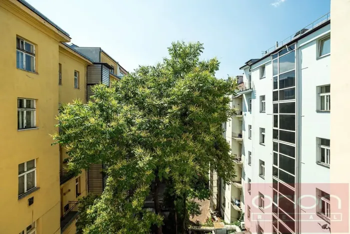 Pronájem bytu 3+1, Praha - Nové Město, Dřevná, 108 m2