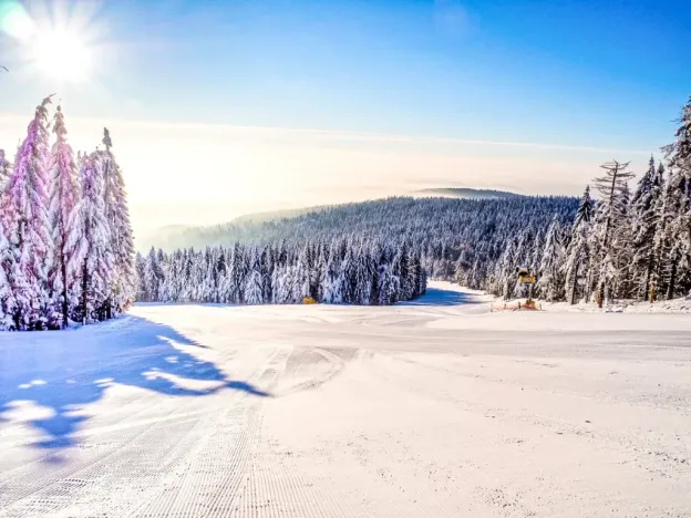 Prodej bytu 2+kk, Červená Voda - Mlýnický Dvůr, 180 m2