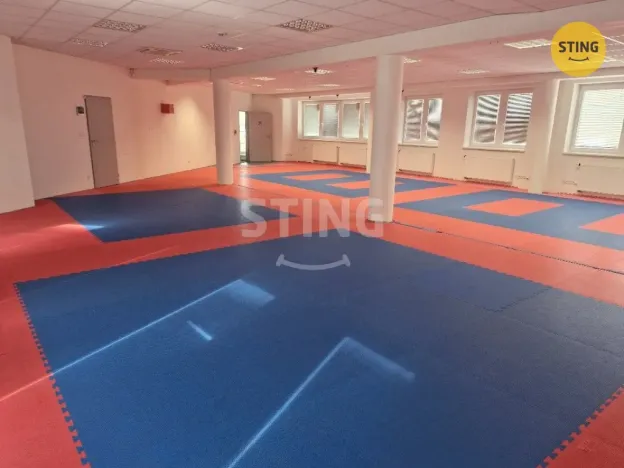 Pronájem kanceláře, Hodonín, Měšťanská, 200 m2