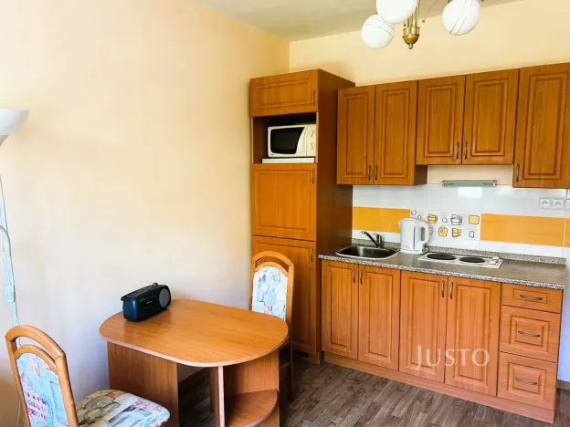 Pronájem bytu 1+kk, Písek - Budějovické Předměstí, 17. listopadu, 19 m2