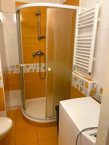 Pronájem bytu 1+kk, Písek - Budějovické Předměstí, 17. listopadu, 19 m2