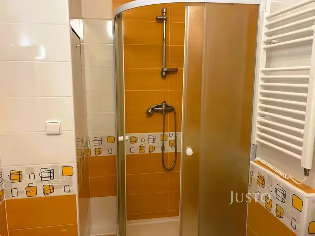 Pronájem bytu 1+kk, Písek, 17. listopadu, 19 m2