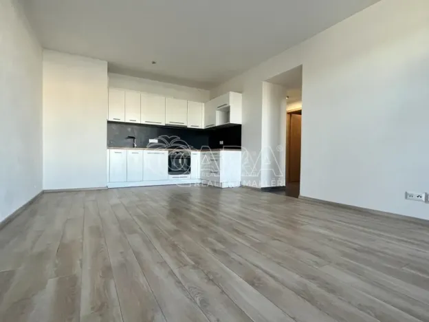 Pronájem bytu 2+kk, Plzeň - Východní Předměstí, Papírnická, 60 m2