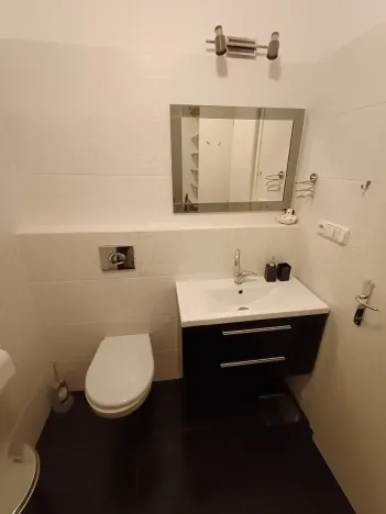 Pronájem bytu 1+kk, Praha - Podolí, Brabcova, 44 m2
