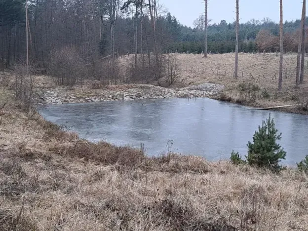 Pronájem rybníku, Hostim, 3504 m2