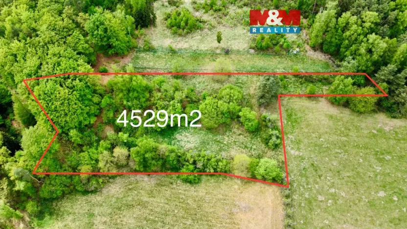 Prodej louky, Lipnice nad Sázavou, 4450 m2