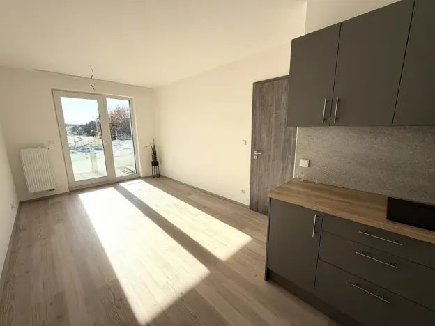 Pronájem bytu 2+kk, Brno - Černá Pole, třída Generála Píky, 56 m2