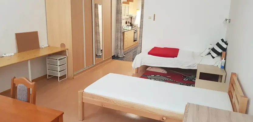 Pronájem bytu 1+1, Brno, Ptašínského, 40 m2