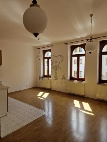 Pronájem bytu 2+kk, České Budějovice, Holečkova, 56 m2