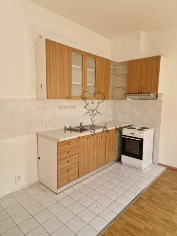 Pronájem bytu 2+kk, České Budějovice, Holečkova, 56 m2