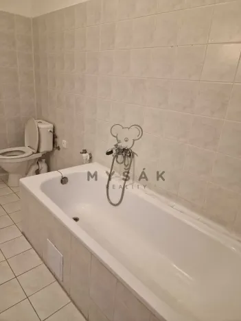Pronájem bytu 2+kk, České Budějovice, Holečkova, 56 m2