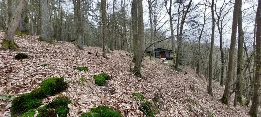 Prodej lesa, Petrov, 23078 m2