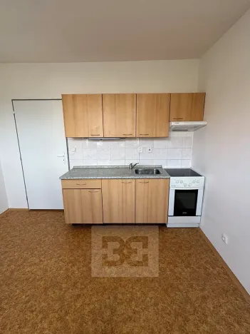 Pronájem bytu 1+kk, Písek, Za Pazdernou, 18 m2