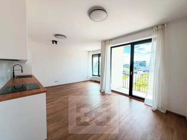 Pronájem bytu 1+kk, Plzeň, Železná, 34 m2