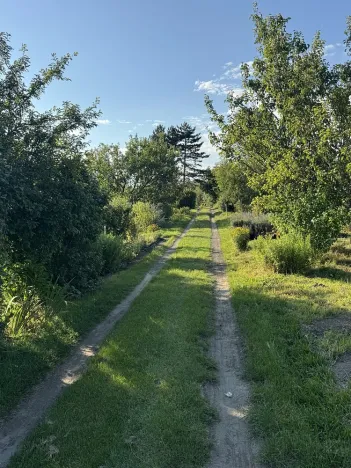 Prodej zahrady, Otrokovice, 209 m2