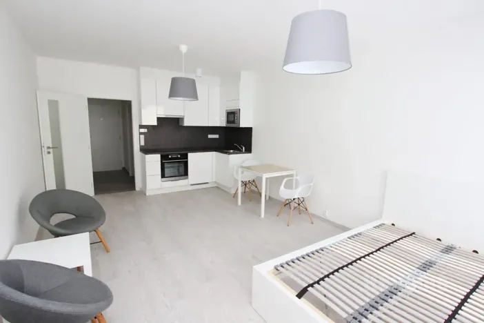 Pronájem bytu 1+kk, Praha - Karlín, Sokolovská, 34 m2