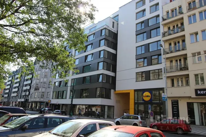Pronájem bytu 1+kk, Praha - Karlín, Sokolovská, 34 m2