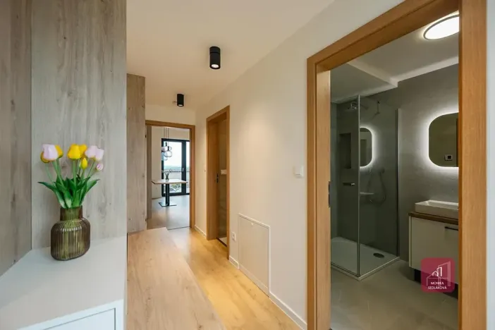 Pronájem bytu 2+kk, Mokrá-Horákov, 63 m2