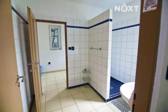 Prodej obchodního prostoru, Soběslav, Wilsonova, 490 m2