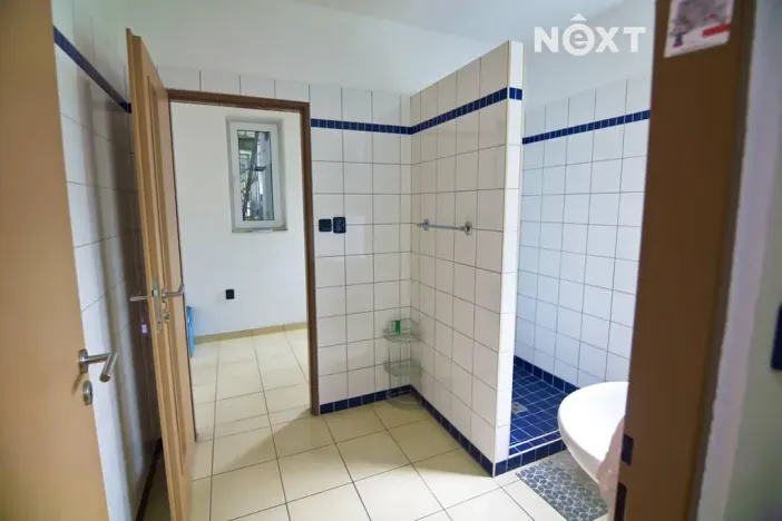Prodej skladu, Soběslav, Wilsonova, 490 m2