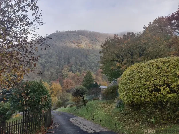 Prodej zahrady, Ústí nad Labem, Broskvoňová, 428 m2