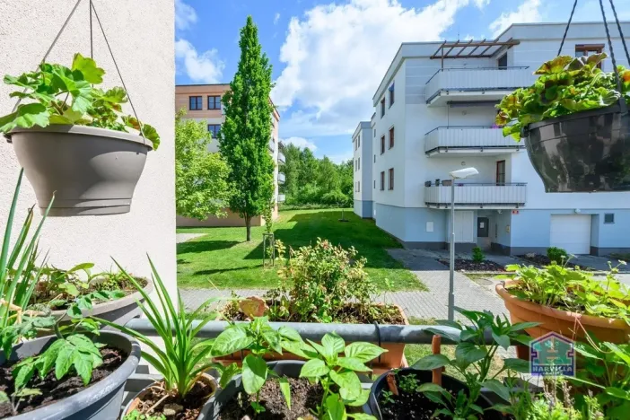 Prodej bytu 3+kk, Plzeň - Bolevec, Studentská, 75 m2
