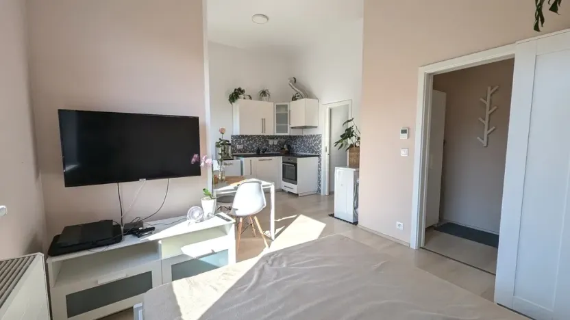 Pronájem bytu 1+kk, Olomouc, Wolkerova, 26 m2