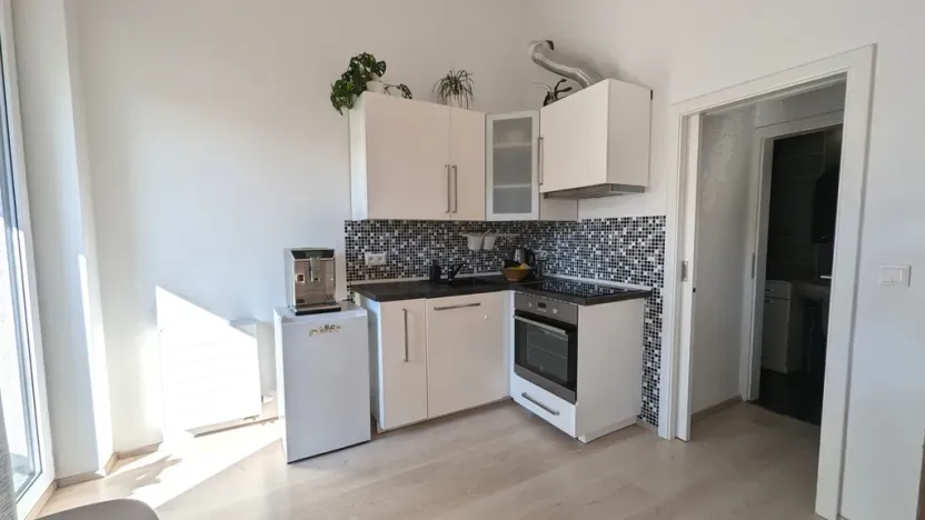 Pronájem bytu 1+kk, Olomouc, Wolkerova, 26 m2
