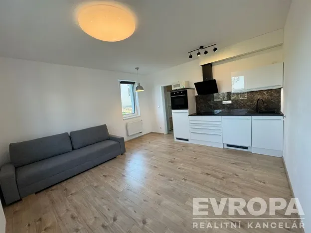 Prodej bytu 1+kk, Plzeň - Újezd, Safírová, 30 m2