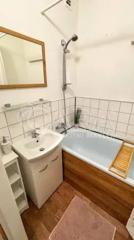 Pronájem bytu 1+1, Ústí nad Labem - Střekov, Střekovské nábřeží, 37 m2