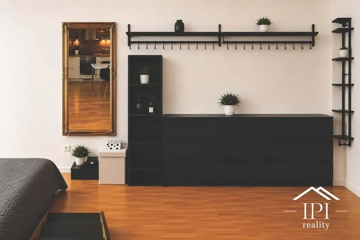 Pronájem bytu 1+kk, Praha - Žižkov, Dalimilova, 46 m2