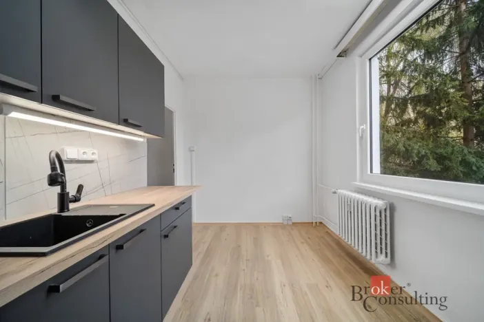 Pronájem bytu 1+1, Vysoké Mýto - Litomyšlské Předměstí, U Potoka, 38 m2